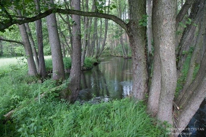 Bobrowa Przystan Villa Czechyn Eksteriør billede