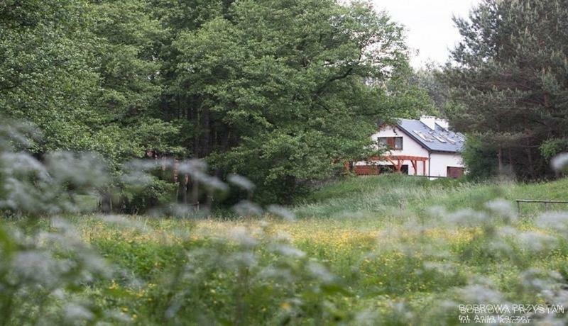 Bobrowa Przystan Villa Czechyn Eksteriør billede